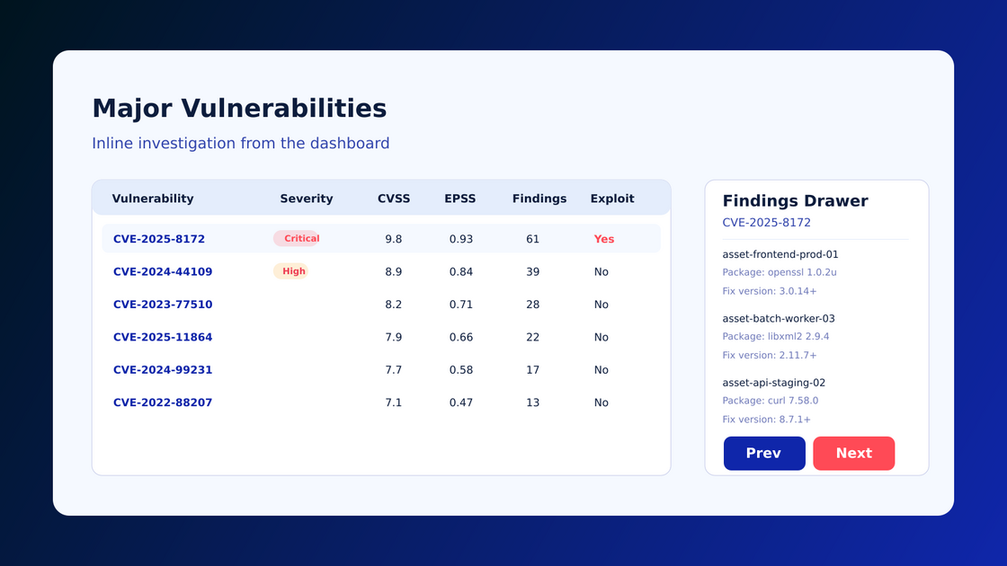 Major vulnerabilities view in Cyscale asset details
