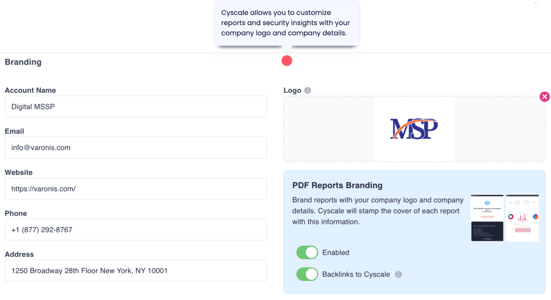 Screenshot of branding customization options